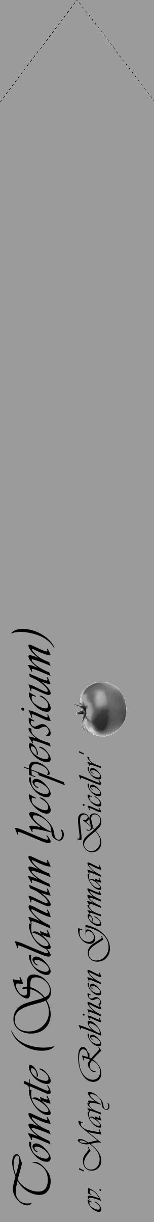 Étiquette de : Solanum lycopersicum cv. 'Mary Robinson German Bicolor' - format c - style noire52_simple_simpleviv avec comestibilité simplifiée - position verticale