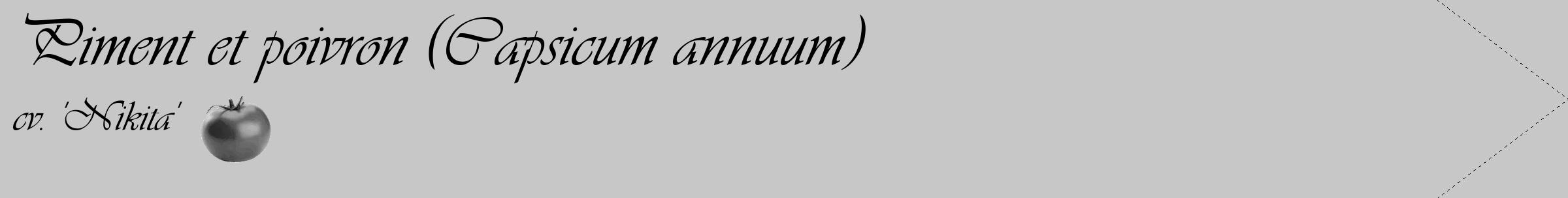 Étiquette de : Capsicum annuum cv. 'Nikita' - format c - style noire15_simple_simpleviv avec comestibilité simplifiée