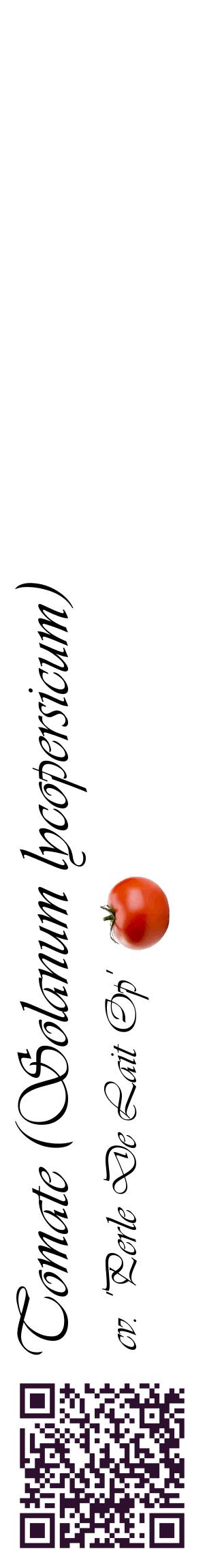 Étiquette de : Solanum lycopersicum cv. 'Perle De Lait Op' - format c - style noire60_basiqueviv avec qrcode et comestibilité simplifiée
