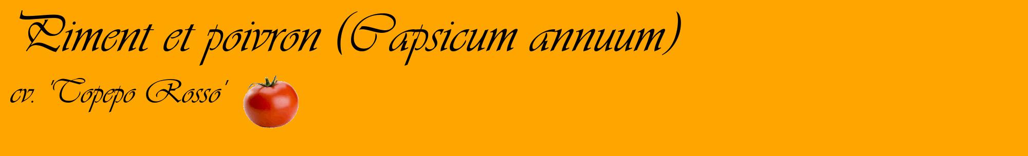 Étiquette de : Capsicum annuum cv. 'Topepo Rosso' - format c - style noire22basique_basique_basiqueviv avec comestibilité simplifiée