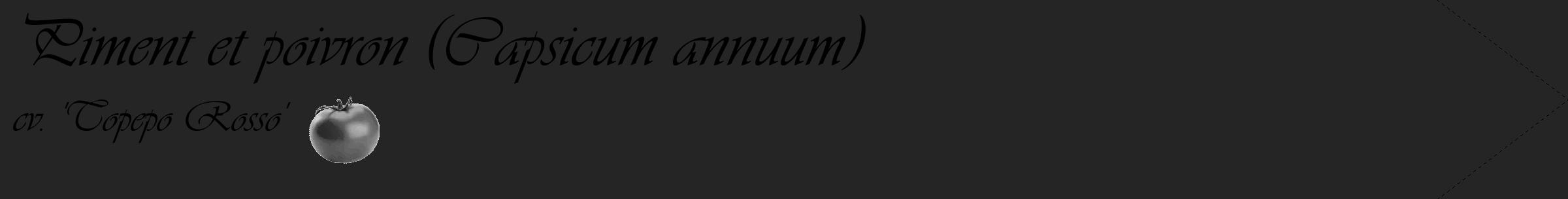 Étiquette de : Capsicum annuum cv. 'Topepo Rosso' - format c - style noire47_simple_simpleviv avec comestibilité simplifiée