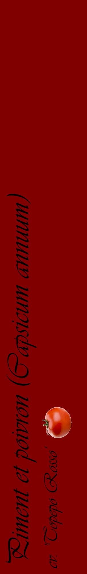 Étiquette de : Capsicum annuum cv. 'Topepo Rosso' - format c - style noire29_basiqueviv avec comestibilité simplifiée