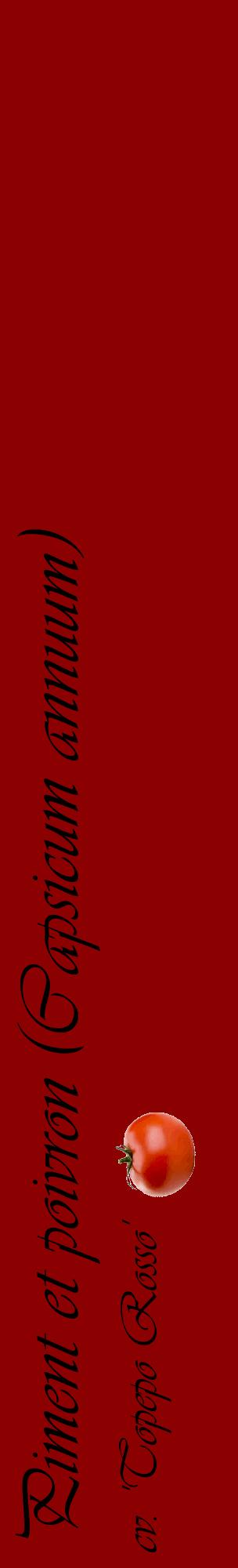 Étiquette de : Capsicum annuum cv. 'Topepo Rosso' - format c - style noire34_basiqueviv avec comestibilité simplifiée