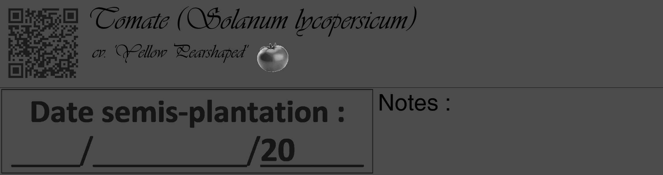 Étiquette de : Solanum lycopersicum cv. 'Yellow Pearshaped' - format c - style noire9basique_basique_basiqueviv avec qrcode et comestibilité simplifiée