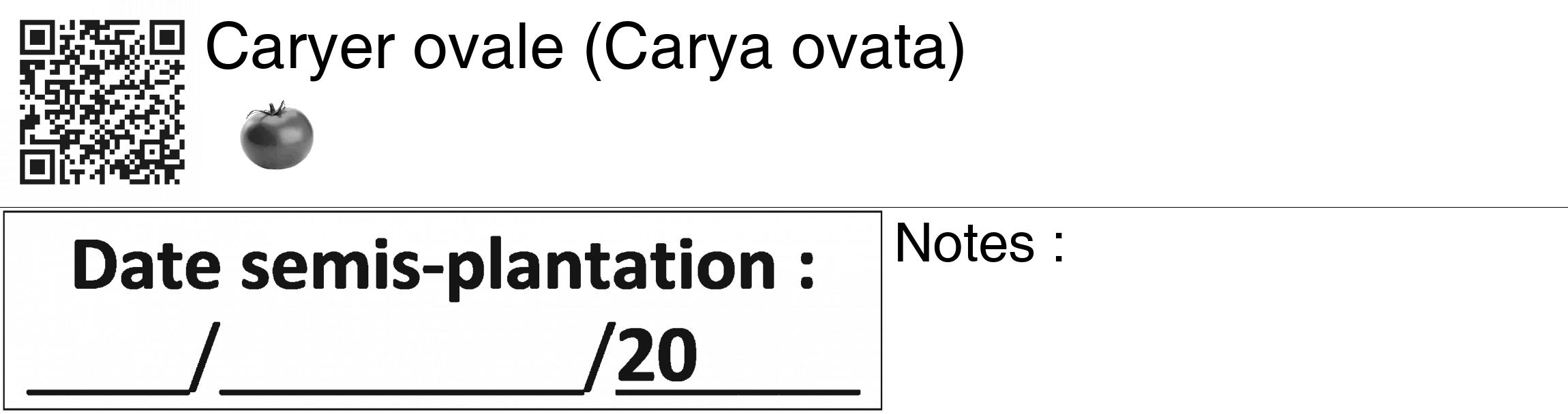 Étiquette de : Carya ovata - format c - style noire60_basiquegrrvhel avec qrcode et comestibilité simplifiée