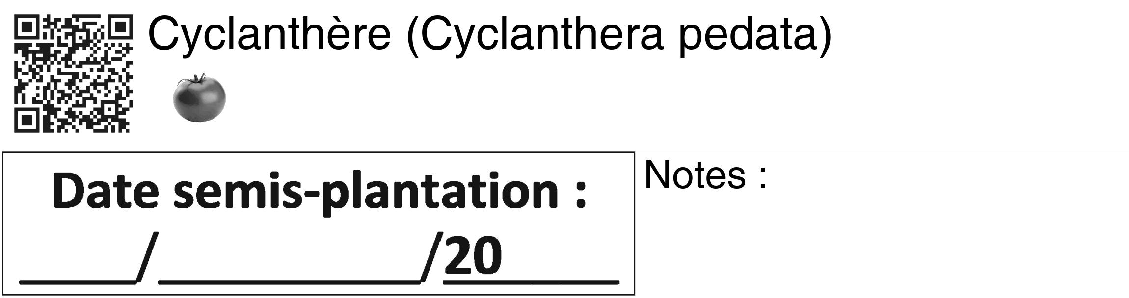Étiquette de : Cyclanthera pedata - format c - style noire60_basiquegrrvhel avec qrcode et comestibilité simplifiée