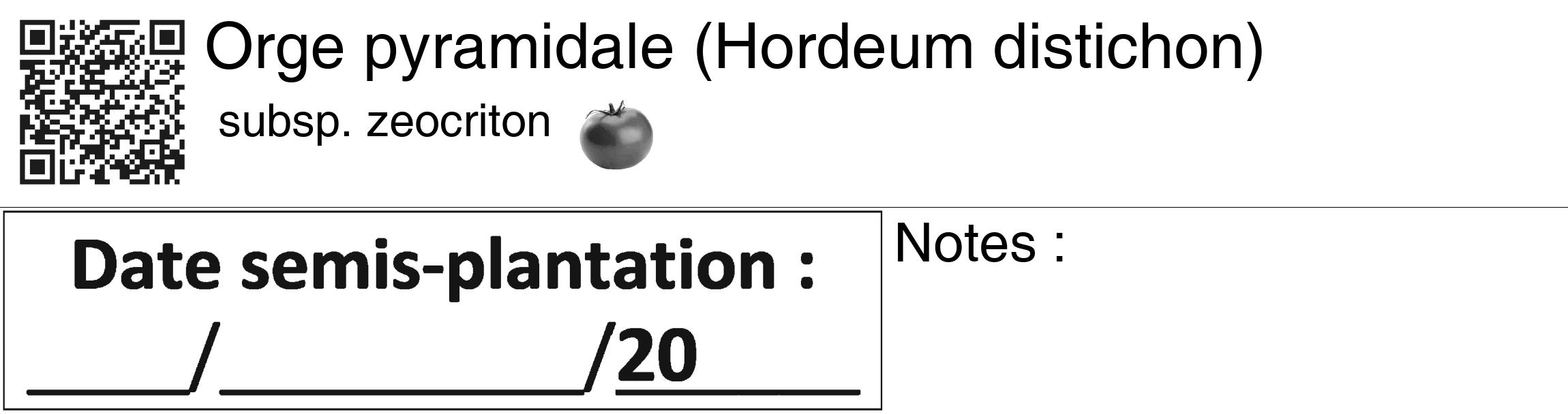 Étiquette de : Hordeum distichon subsp. zeocriton - format c - style noire60_basiquegrrvhel avec qrcode et comestibilité simplifiée