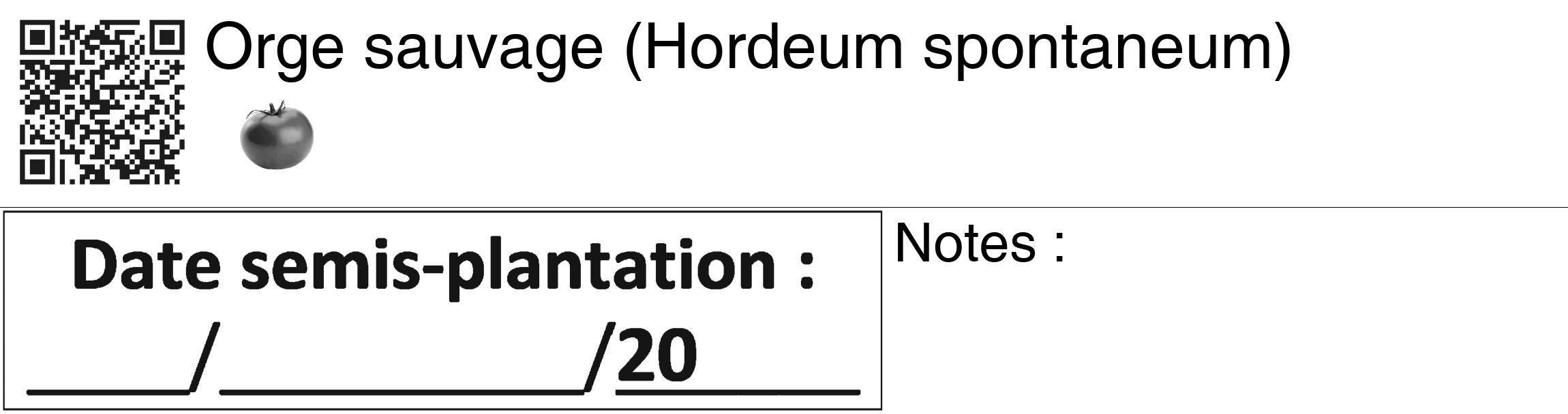 Étiquette de : Hordeum spontaneum - format c - style noire60_basiquegrrvhel avec qrcode et comestibilité simplifiée