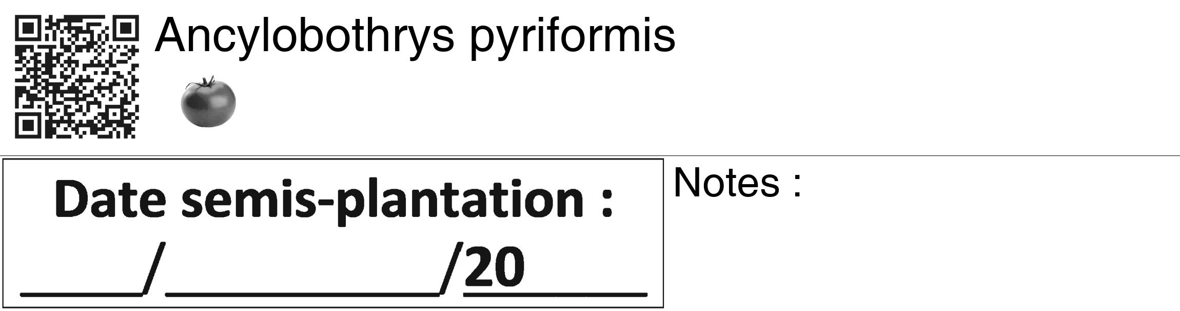 Étiquette de : Ancylobothrys pyriformis - format c - style noire60_basiquegrrvhel avec qrcode et comestibilité simplifiée