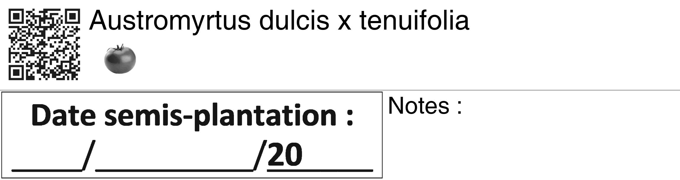 Étiquette de : Austromyrtus dulcis x tenuifolia - format c - style noire60_basiquegrrvhel avec qrcode et comestibilité simplifiée