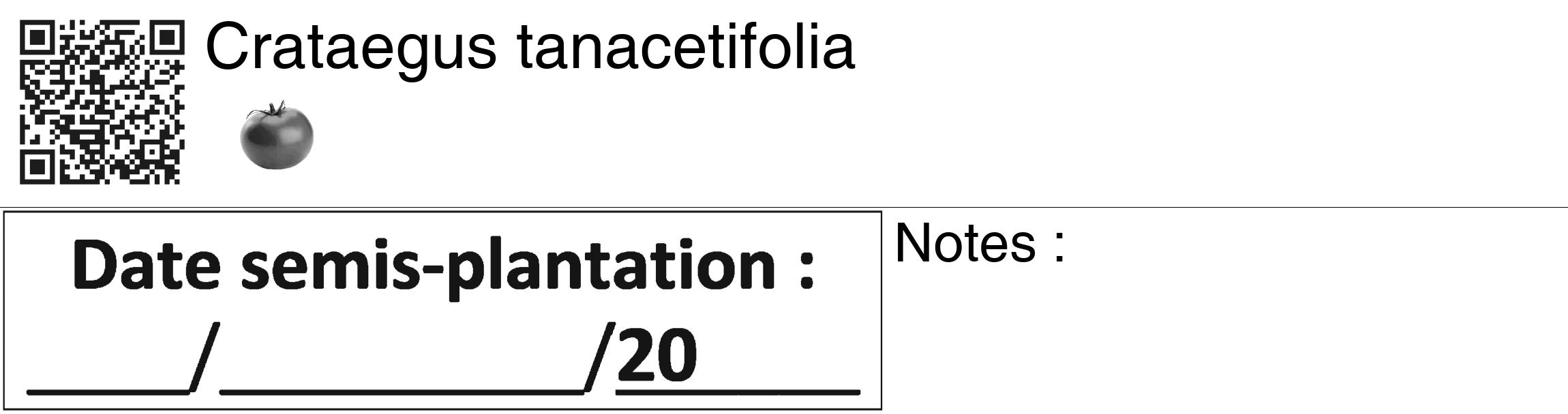 Étiquette de : Crataegus tanacetifolia - format c - style noire60_basiquegrrvhel avec qrcode et comestibilité simplifiée