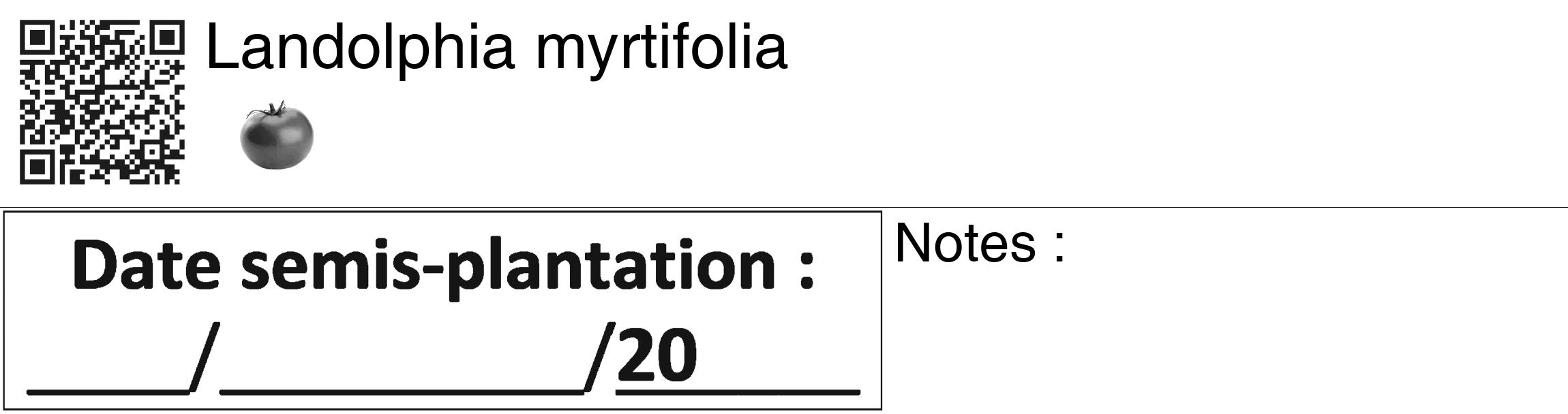 Étiquette de : Landolphia myrtifolia - format c - style noire60_basiquegrrvhel avec qrcode et comestibilité simplifiée