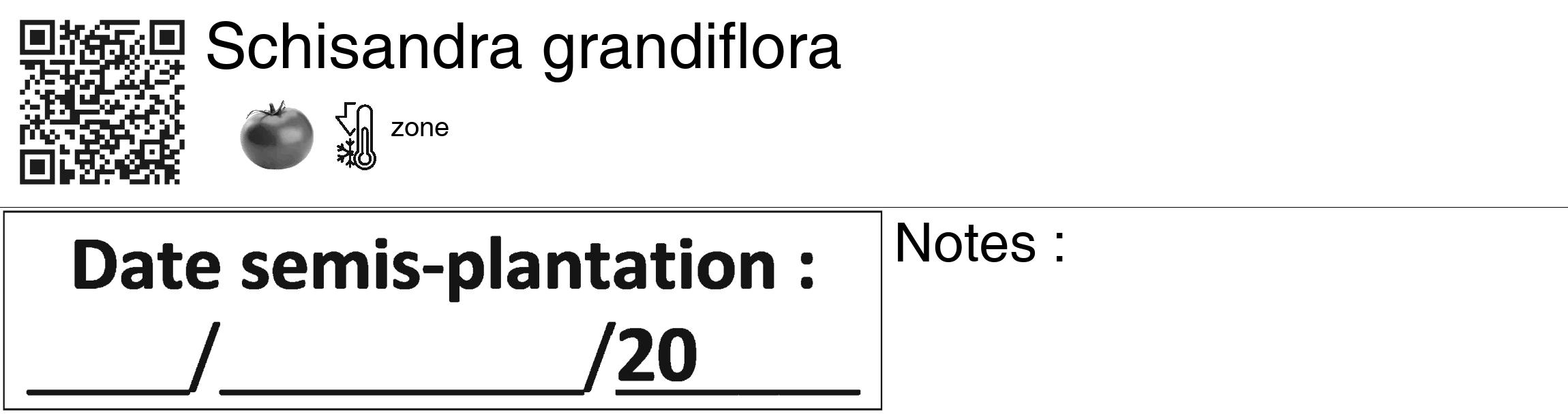 Étiquette de : Schisandra grandiflora - format c - style noire60_basiquegrrvhel avec qrcode et comestibilité simplifiée