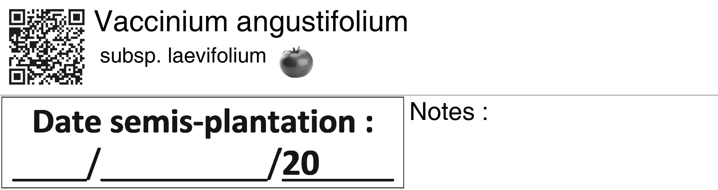 Étiquette de : Vaccinium angustifolium subsp. laevifolium - format c - style noire60_basiquegrrvhel avec qrcode et comestibilité simplifiée