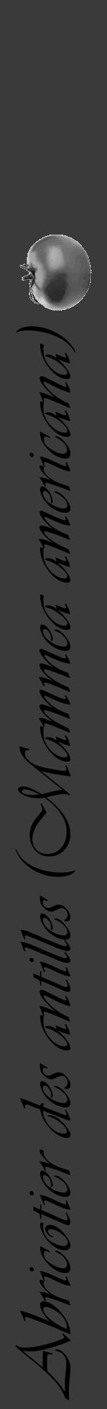 Étiquette de : Mammea americana - format a - style noire8viv avec comestibilité simplifiée - position verticale