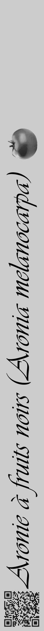 Étiquette de : Aronia melanocarpa - format a - style noire0simpleviv avec qrcode et comestibilité simplifiée - position verticale