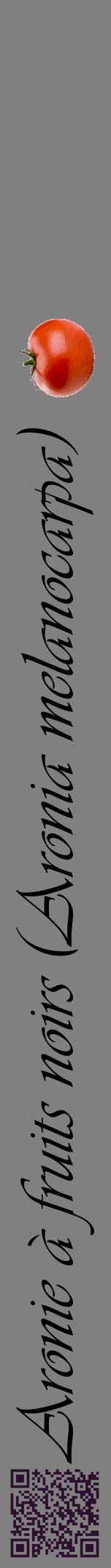 Étiquette de : Aronia melanocarpa - format a - style noire57viv avec qrcode et comestibilité simplifiée