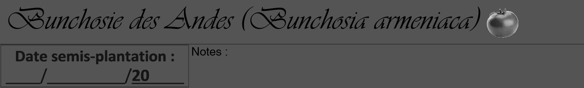 Étiquette de : Bunchosia armeniaca - format a - style noire36viv avec comestibilité simplifiée