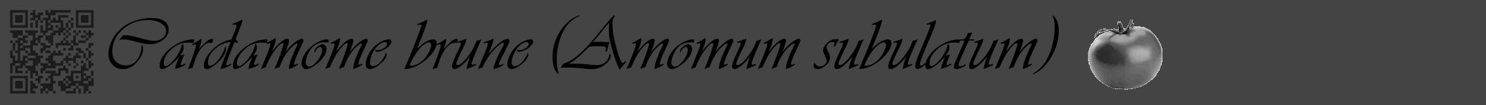 Étiquette de : Amomum subulatum - format a - style noire48simpleviv avec qrcode et comestibilité simplifiée