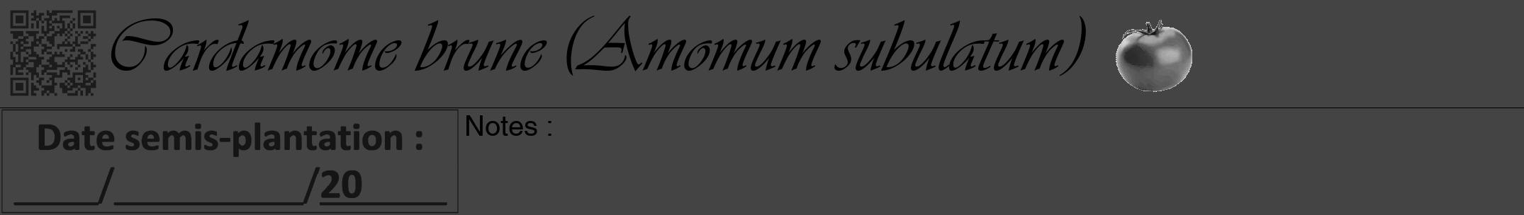 Étiquette de : Amomum subulatum - format a - style noire48simpleviv avec qrcode et comestibilité simplifiée