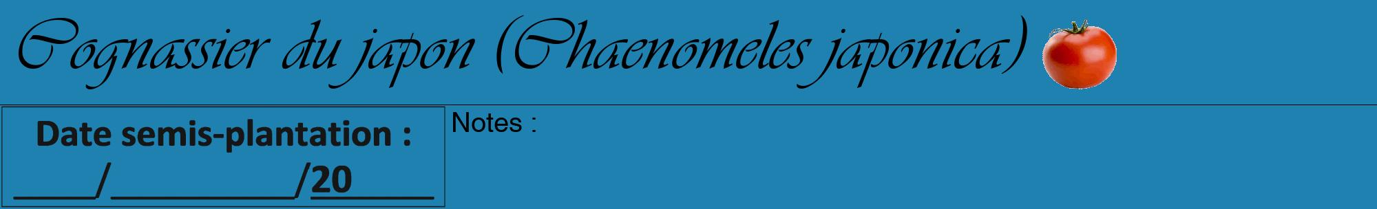 Étiquette de : Chaenomeles japonica - format a - style noire6viv avec comestibilité simplifiée