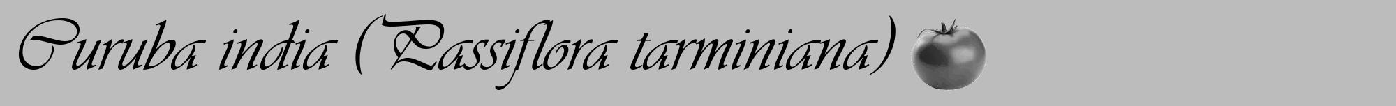 Étiquette de : Passiflora tarminiana - format a - style noire1viv avec comestibilité simplifiée