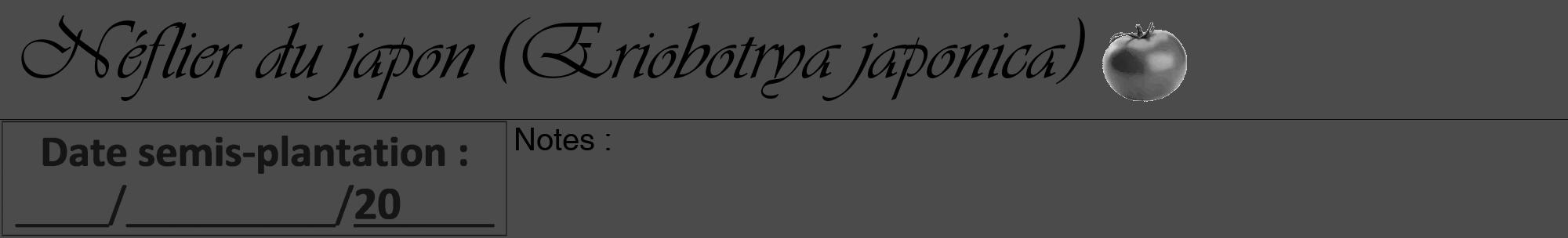 Étiquette de : Eriobotrya japonica - format a - style noire9basiqueviv avec comestibilité simplifiée