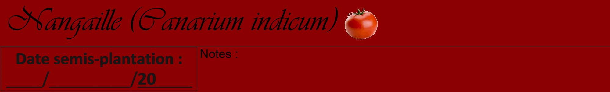 Étiquette de : Canarium indicum - format a - style noire34viv avec comestibilité simplifiée
