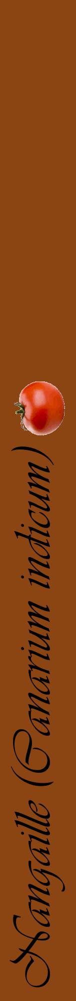 Étiquette de : Canarium indicum - format a - style noire30viv avec comestibilité simplifiée