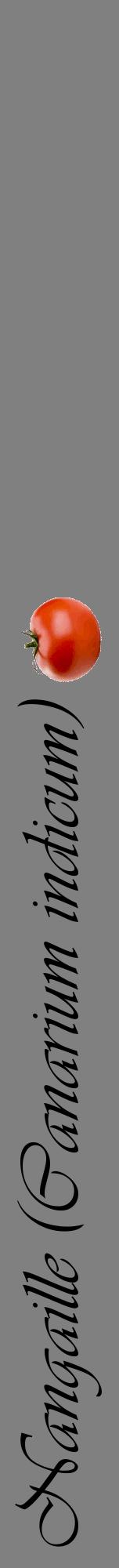 Étiquette de : Canarium indicum - format a - style noire57viv avec comestibilité simplifiée