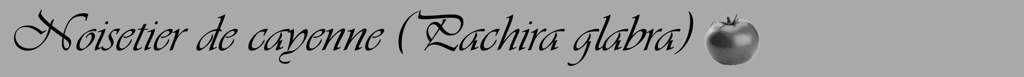 Étiquette de : Pachira glabra - format a - style noire13viv avec comestibilité simplifiée