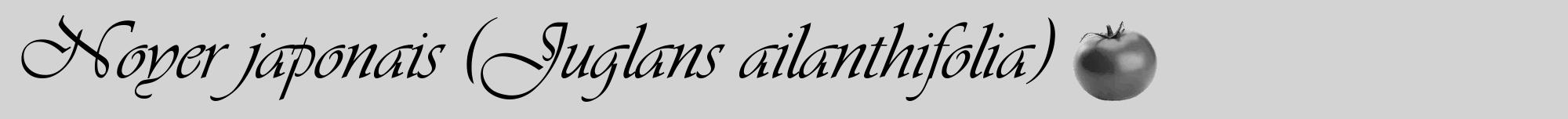 Étiquette de : Juglans ailanthifolia - format a - style noire56viv avec comestibilité simplifiée
