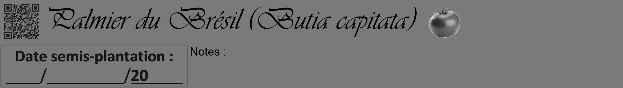 Étiquette de : Butia capitata - format a - style noire3viv avec qrcode et comestibilité simplifiée