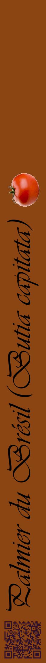 Étiquette de : Butia capitata - format a - style noire30viv avec qrcode et comestibilité simplifiée
