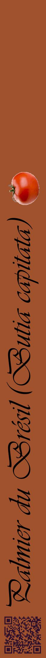 Étiquette de : Butia capitata - format a - style noire32viv avec qrcode et comestibilité simplifiée