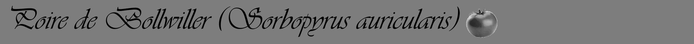 Étiquette de : Sorbopyrus auricularis - format a - style noire35simpleviv avec comestibilité simplifiée