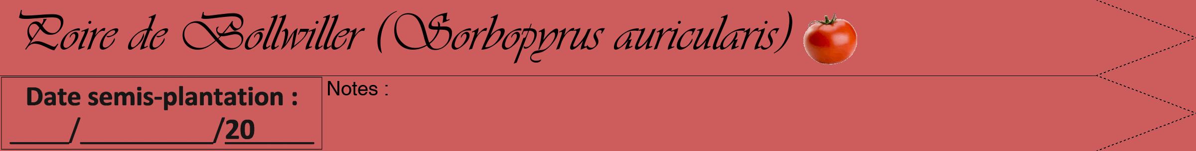 Étiquette de : Sorbopyrus auricularis - format a - style noire35simpleviv avec comestibilité simplifiée