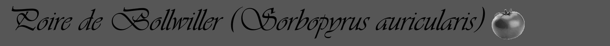 Étiquette de : Sorbopyrus auricularis - format a - style noire45viv avec comestibilité simplifiée