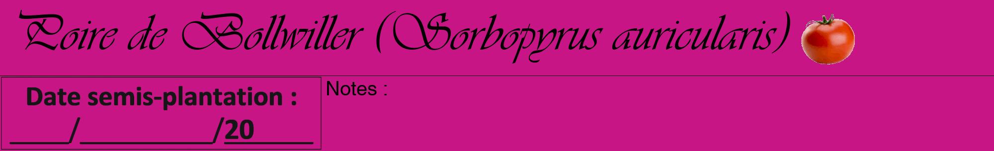 Étiquette de : Sorbopyrus auricularis - format a - style noire45viv avec comestibilité simplifiée