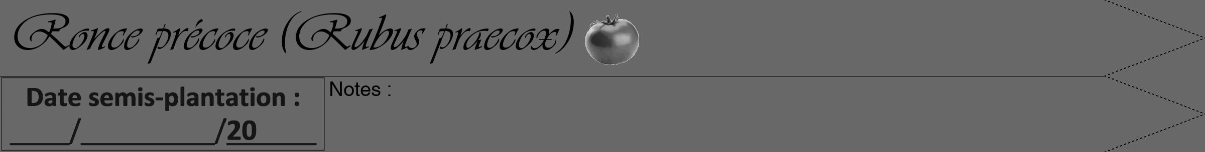 Étiquette de : Rubus praecox - format a - style noire6simpleviv avec comestibilité simplifiée