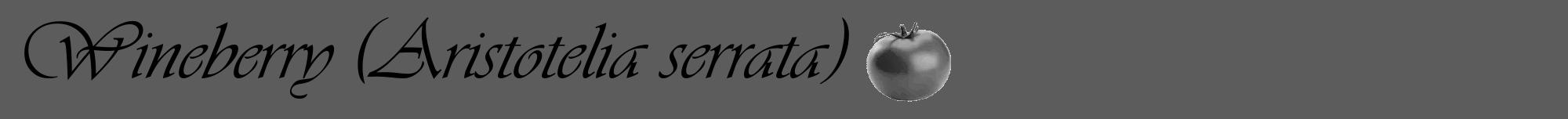 Étiquette de : Aristotelia serrata - format a - style noire49basiqueviv avec comestibilité simplifiée