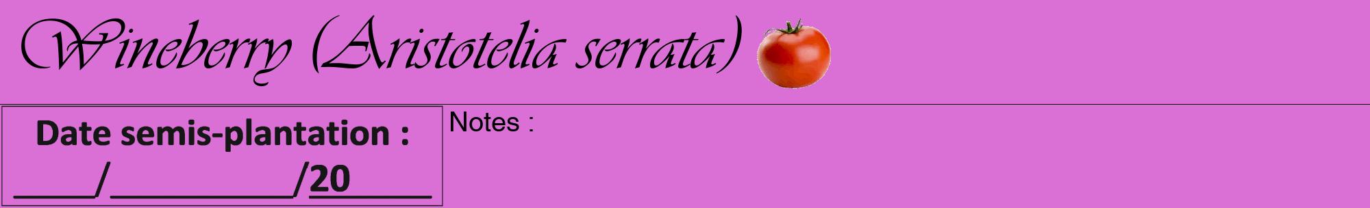 Étiquette de : Aristotelia serrata - format a - style noire52viv avec comestibilité simplifiée