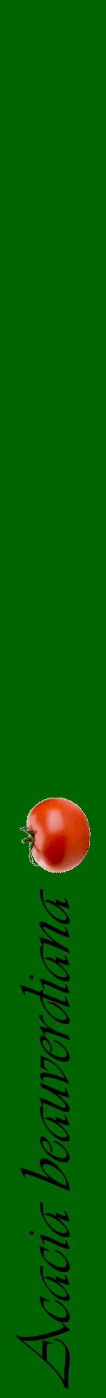 Étiquette de : Acacia beauverdiana - format a - style noire8viv avec comestibilité simplifiée