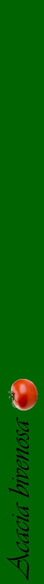 Étiquette de : Acacia bivenosa - format a - style noire8viv avec comestibilité simplifiée
