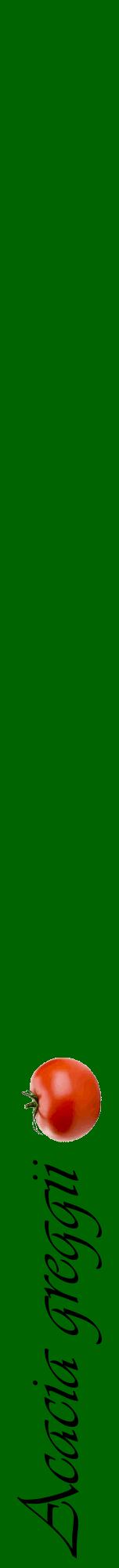 Étiquette de : Acacia greggii - format a - style noire8viv avec comestibilité simplifiée