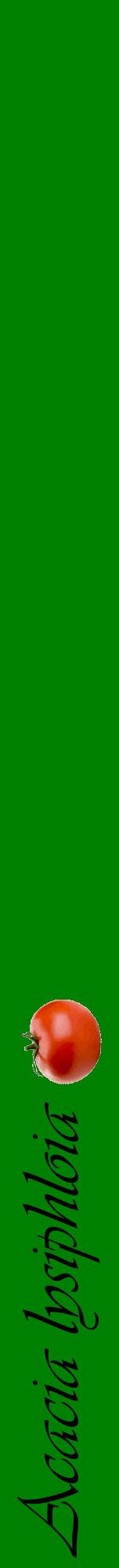 Étiquette de : Acacia lysiphloia - format a - style noire9viv avec comestibilité simplifiée