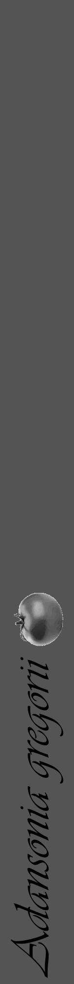 Étiquette de : Adansonia gregorii - format a - style noire36viv avec comestibilité simplifiée - position verticale