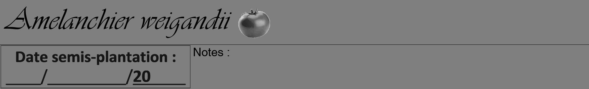 Étiquette de : Amelanchier weigandii - format a - style noire57viv avec comestibilité simplifiée