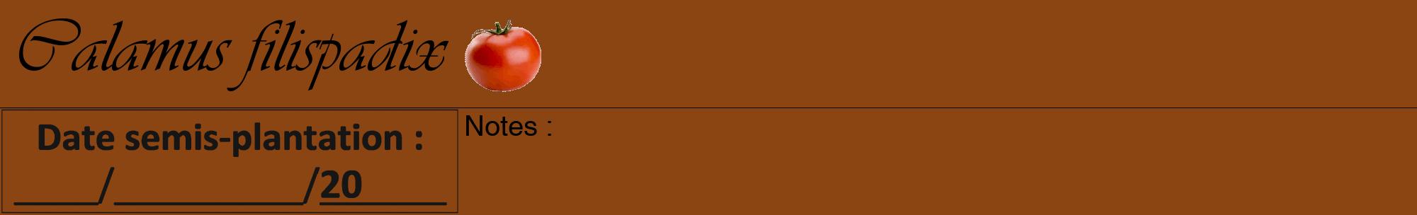 Étiquette de : Calamus filispadix - format a - style noire30viv avec comestibilité simplifiée