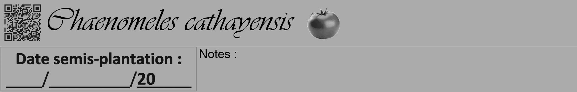 Étiquette de : Chaenomeles cathayensis - format a - style noire37basiqueviv avec qrcode et comestibilité simplifiée
